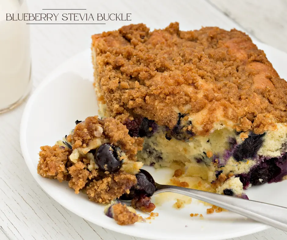 Blueberry Stevia Buckle - Stevia dessert recipes for diabetics
