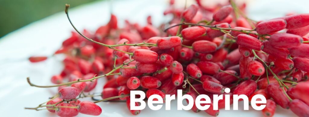 Berberine- Supplements to Reverse Insulin Resistance