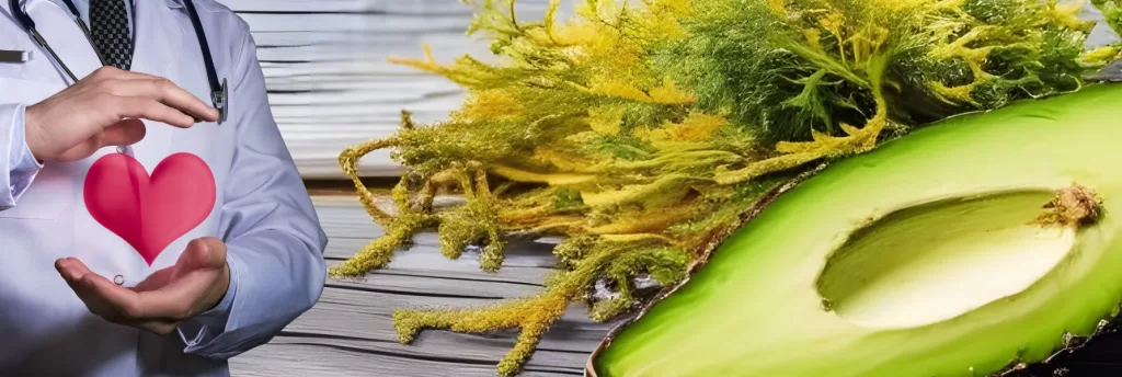 Benefits of Sea Moss: Is Sea Moss Good for Diabetics