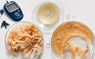 Is Sea Moss Good for Diabetics: Shocking Facts about Sea Moss for Diabetes