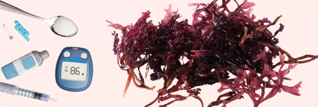 Sea Moss and diabetes: Is Sea Moss Good for Diabetics